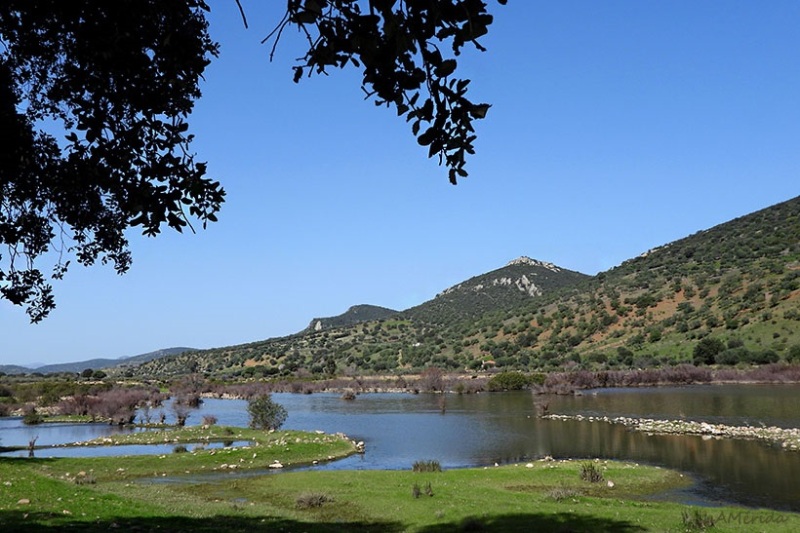 Cercanías de la presa Mendoza, fotos paisajes