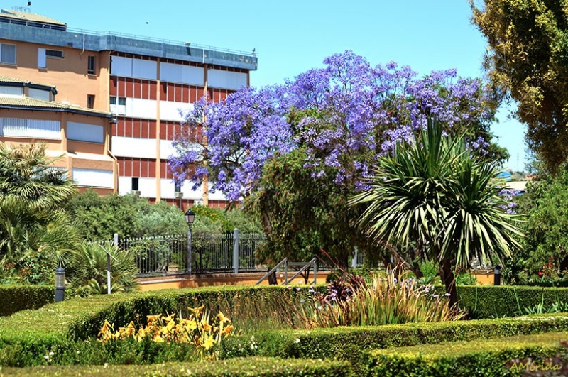 Jardín botánico de la Universidad de Málaga