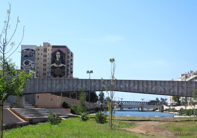 Puente del CAC (Cenro de Arte Contemporáneo)